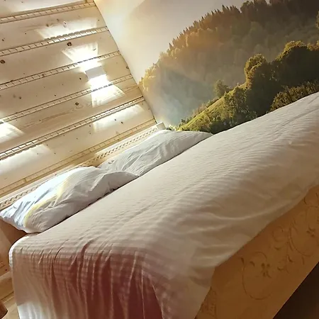 Goralska Ostoja - شقة